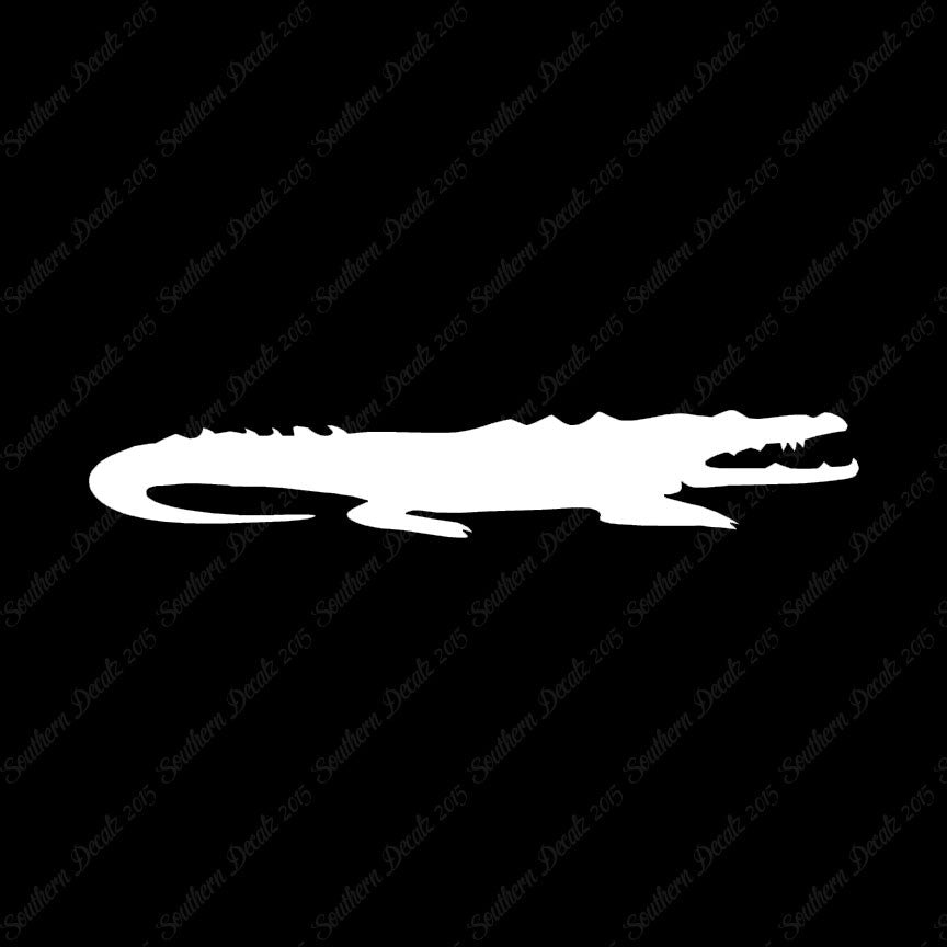 Crocodile Alligator