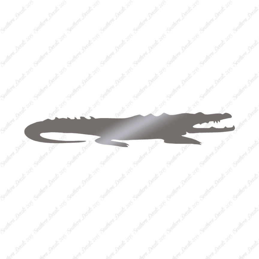 Crocodile Alligator
