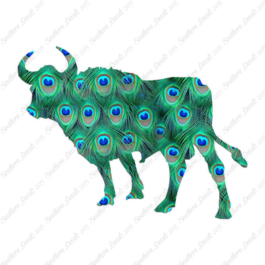 Bull Cow Ox Angus