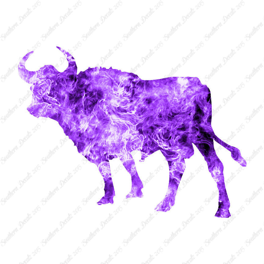 Bull Cow Ox Angus