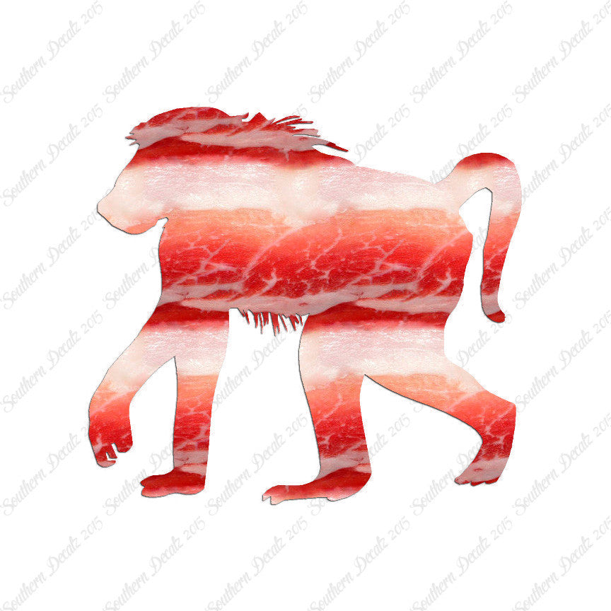 Baboon Monkey Primate