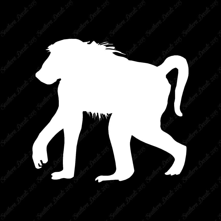 Baboon Monkey Primate