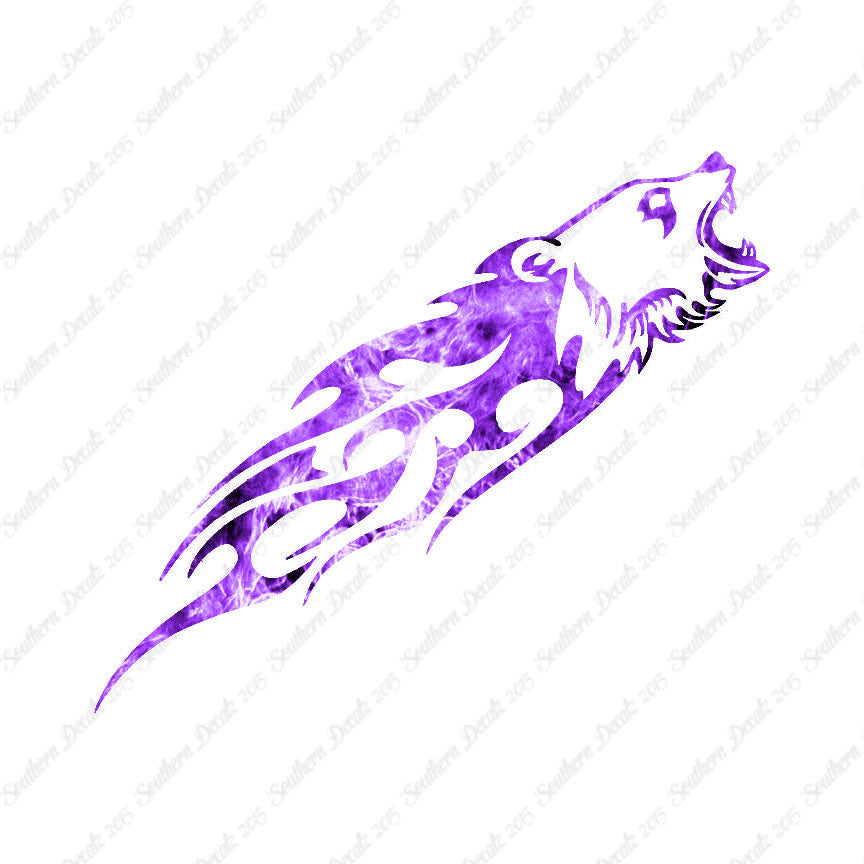 Bear Head Flames Splash