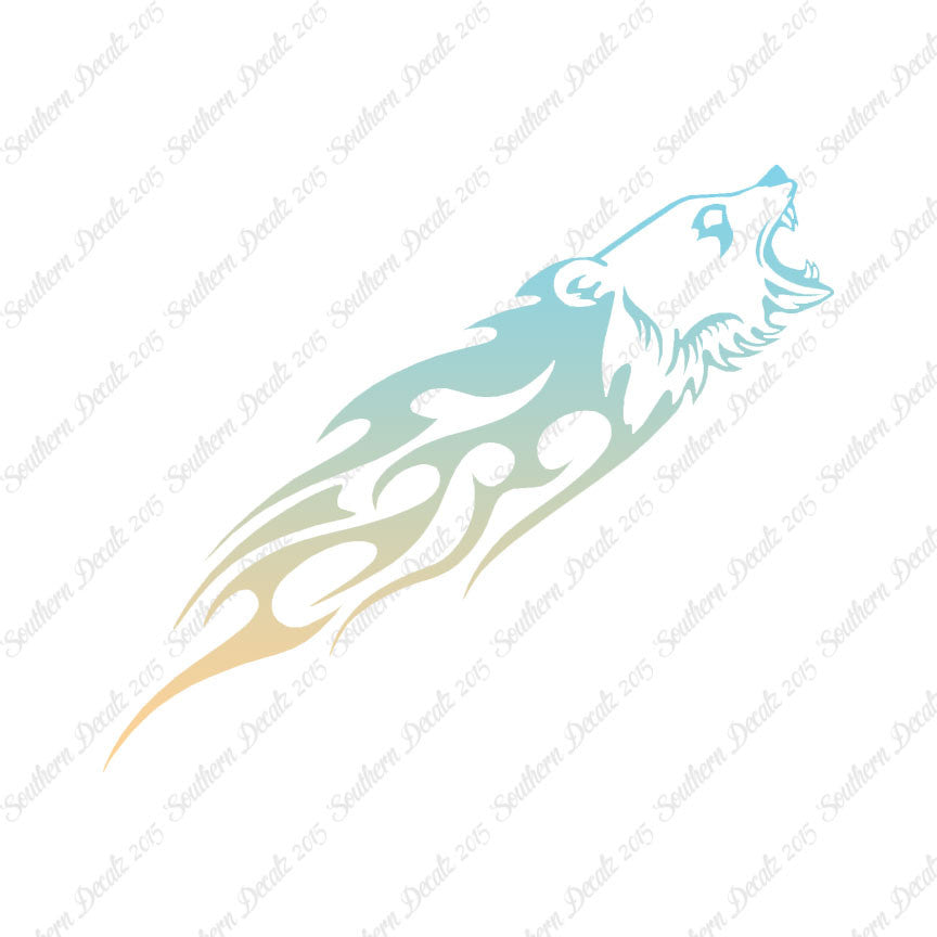 Bear Head Flames Splash