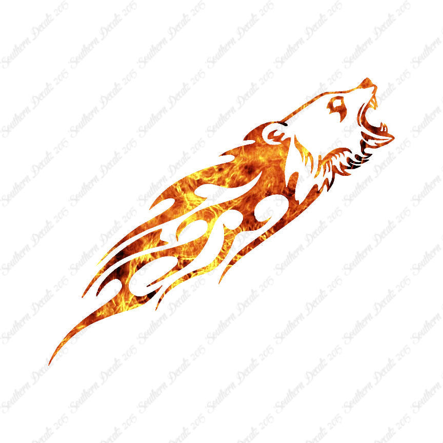 Bear Head Flames Splash