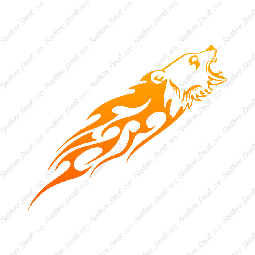 Bear Head Flames Splash