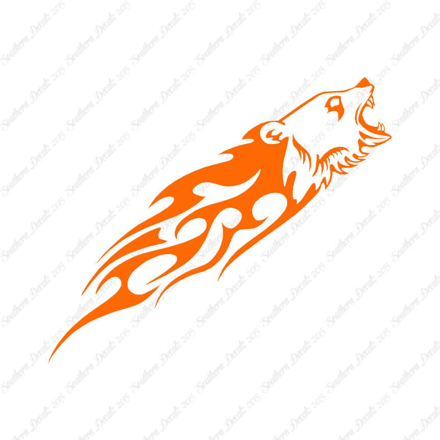 Bear Head Flames Splash