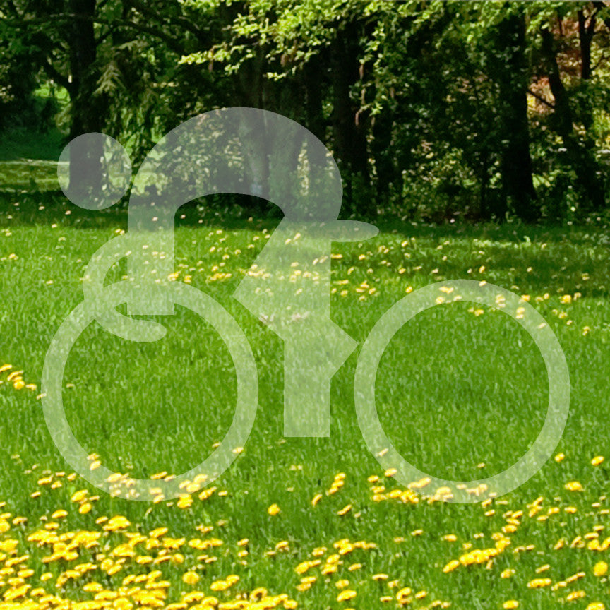 Bicycle Bike Symbol