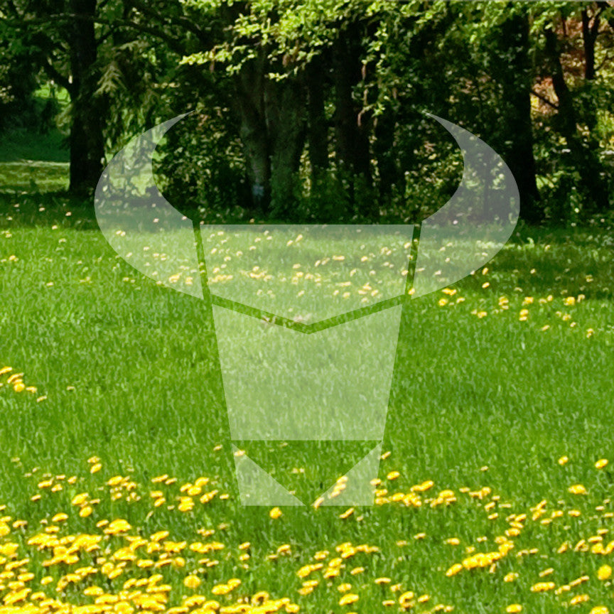 Bull Head Art