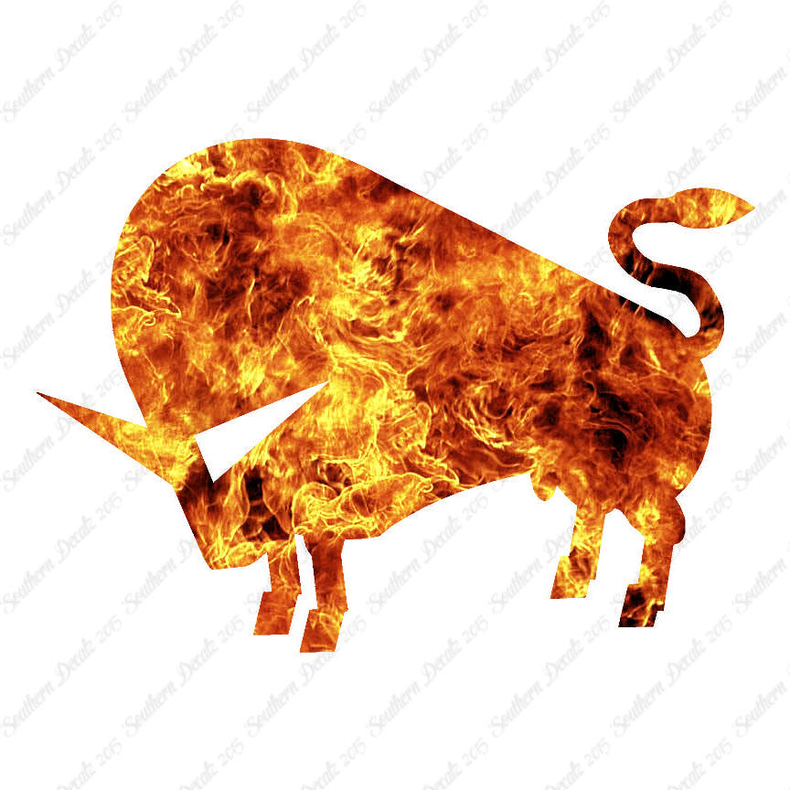 Bull Steer Art