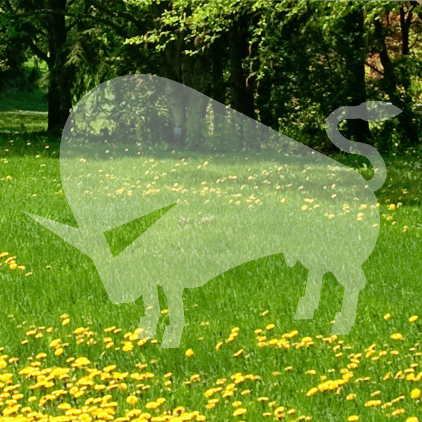 Bull Steer Art