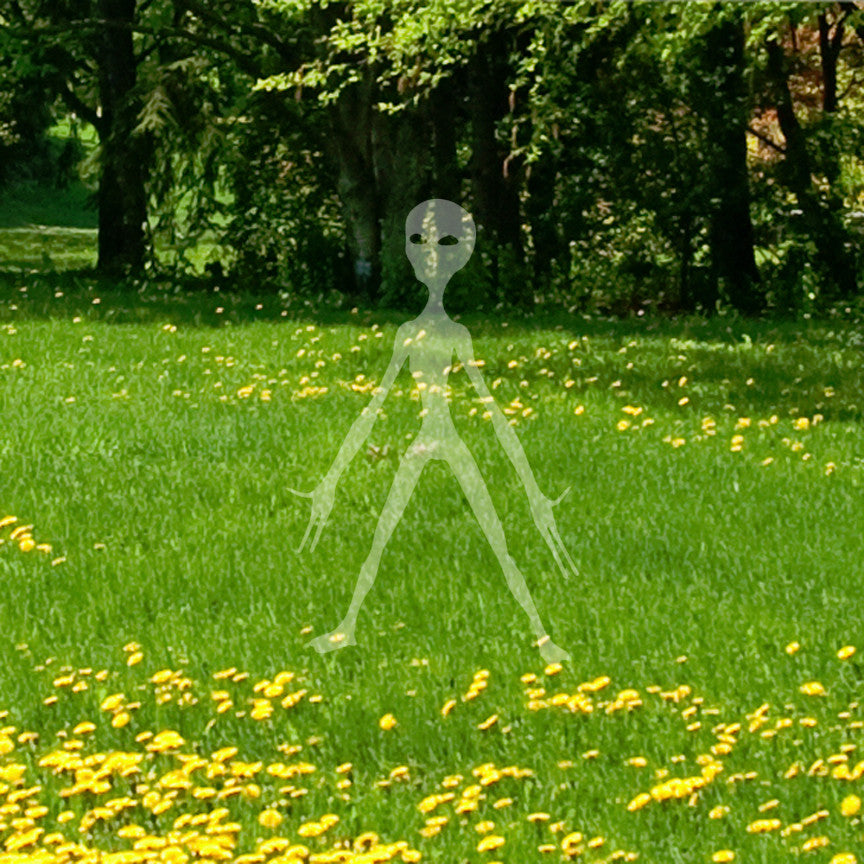E.T. Alien Life Extraterrestrial