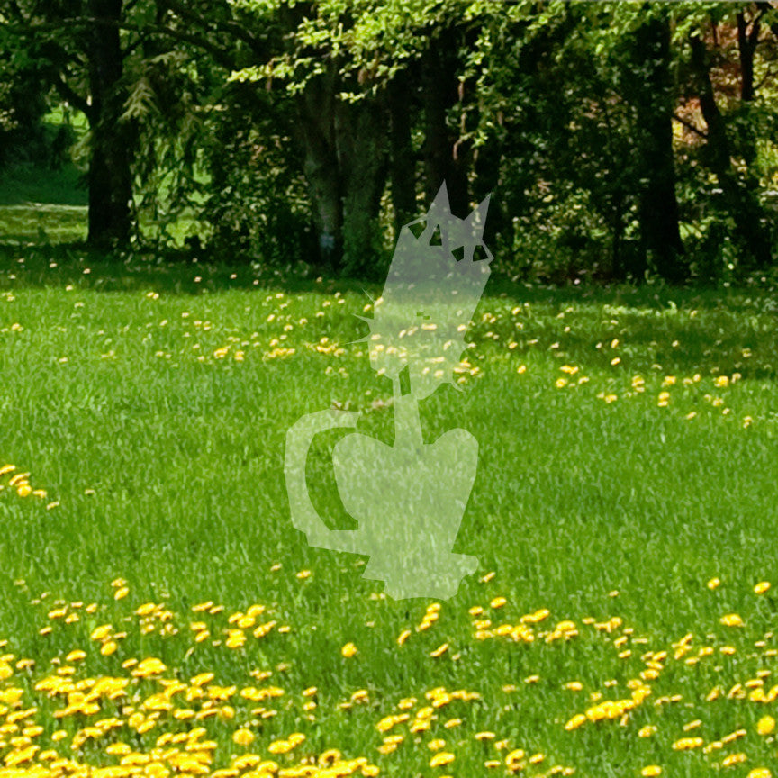Cat Art Child Drawing