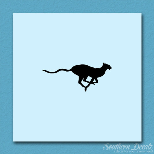Cheetah Panther Big Cat