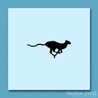 Cheetah Panther Big Cat