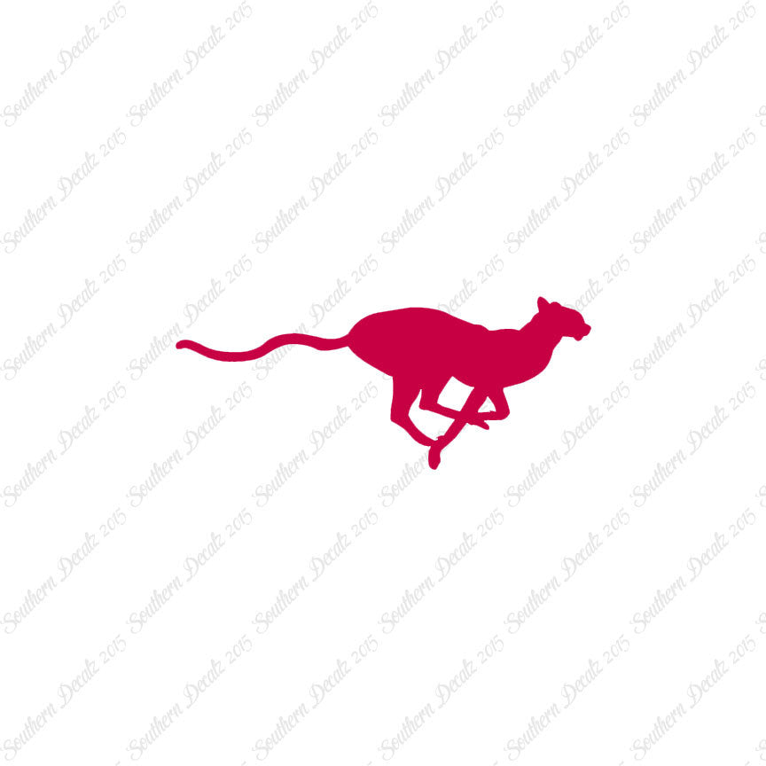 Cheetah Panther Big Cat