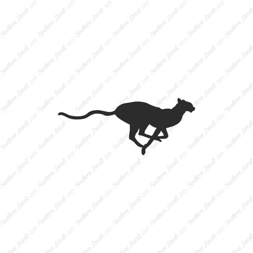 Cheetah Panther Big Cat