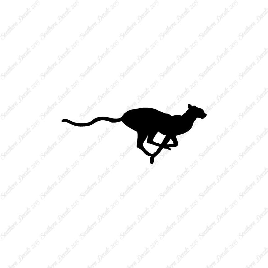 Cheetah Panther Big Cat