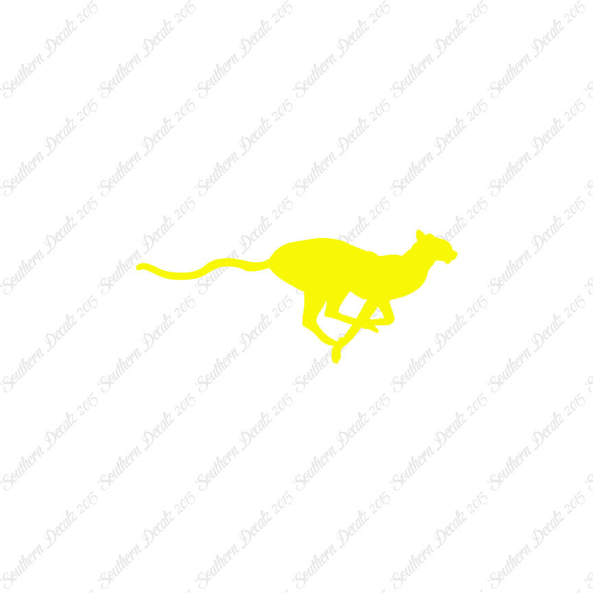 Cheetah Panther Big Cat