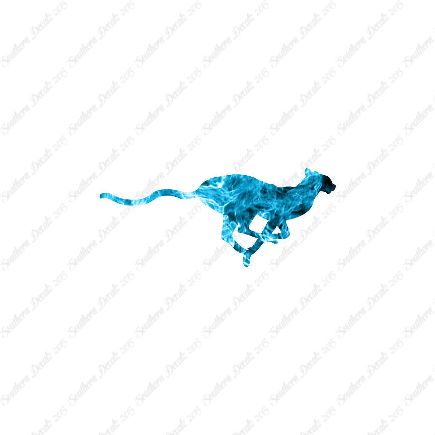 Cheetah Panther Big Cat