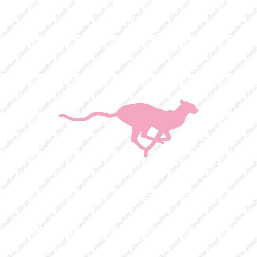Cheetah Panther Big Cat