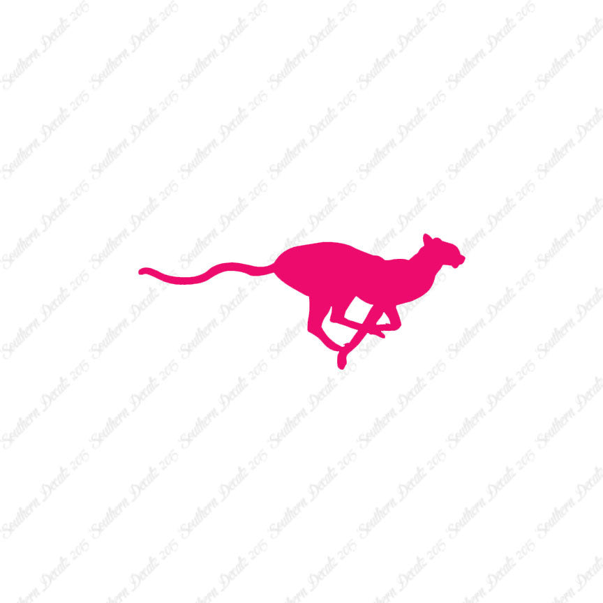 Cheetah Panther Big Cat