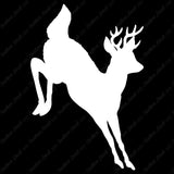 Deer Doe Buck