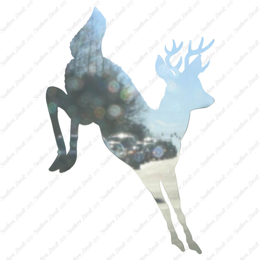 Deer Doe Buck