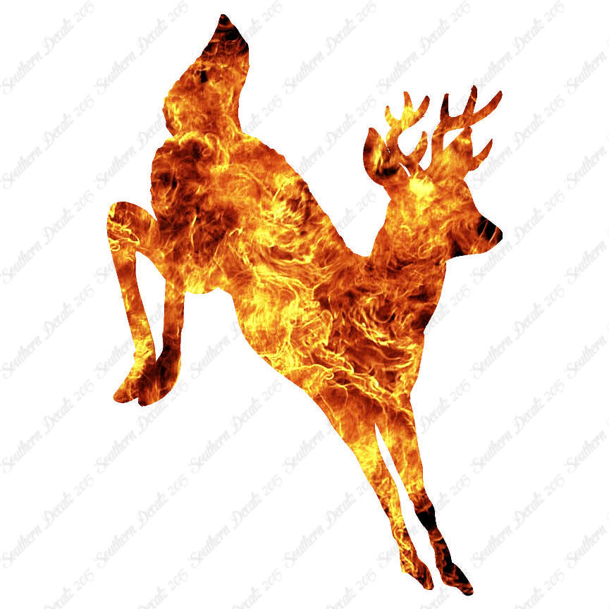 Deer Doe Buck