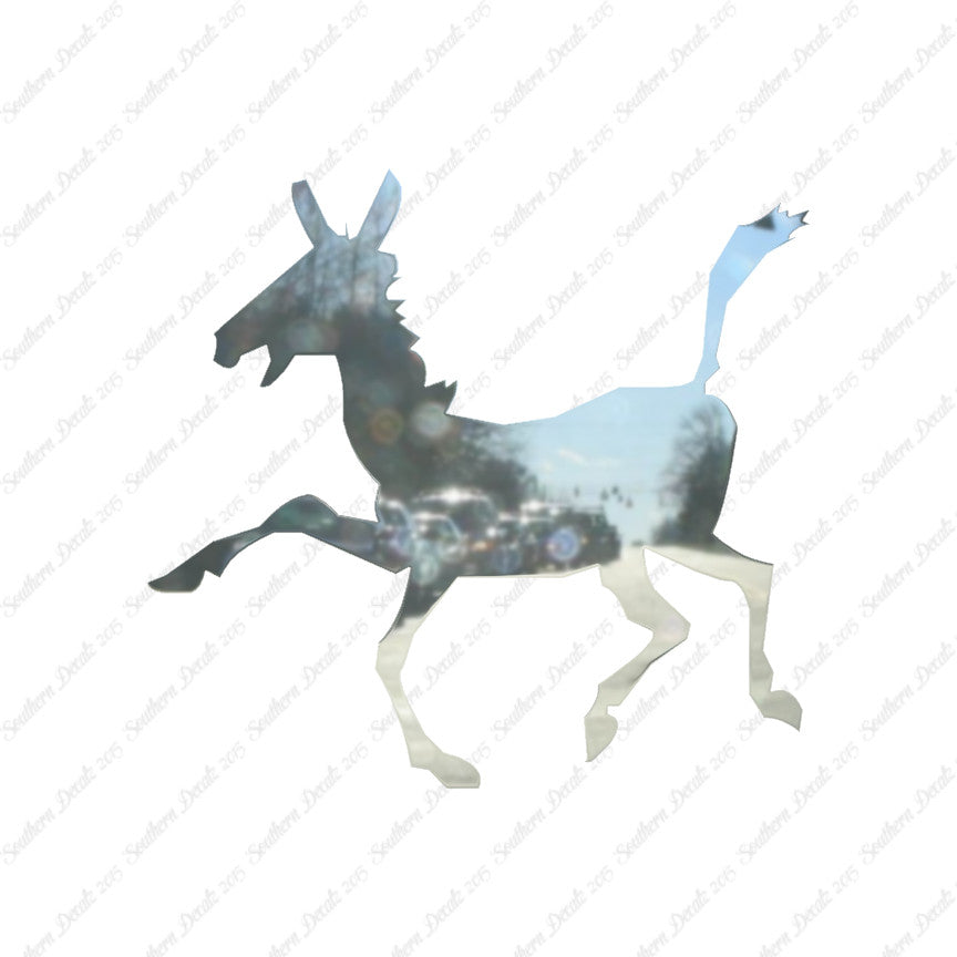Donkey Mule