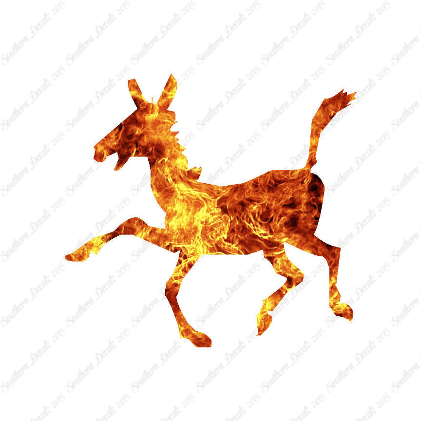 Donkey Mule