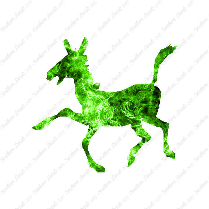 Donkey Mule
