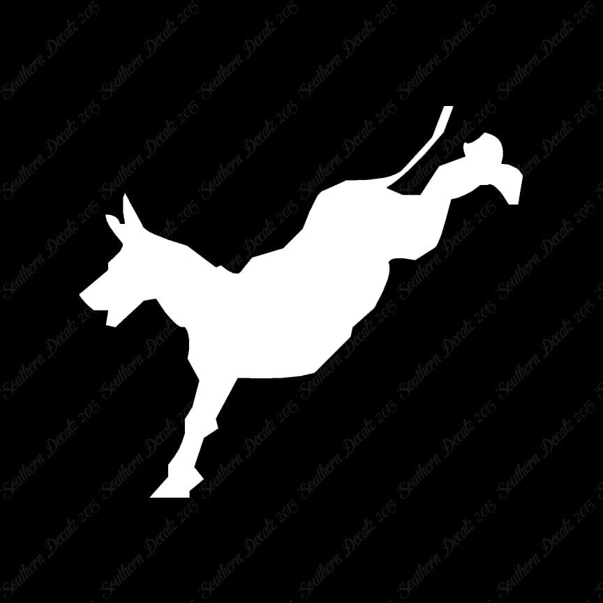 Mule Donkey