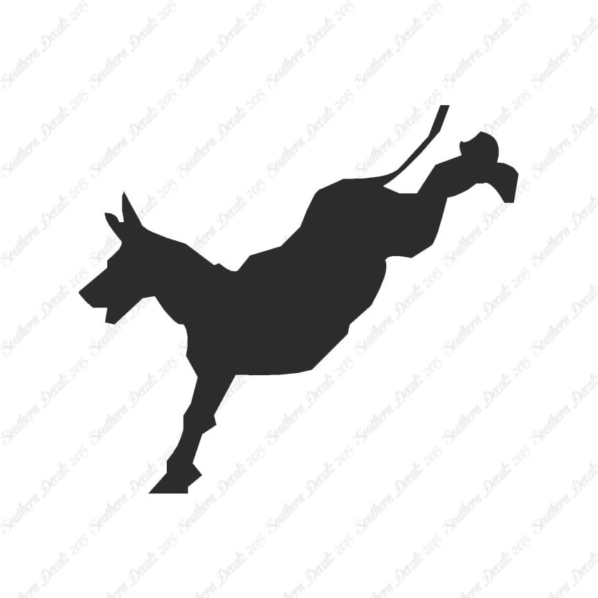 Mule Donkey