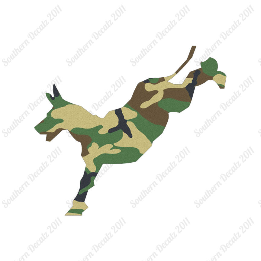 Mule Donkey