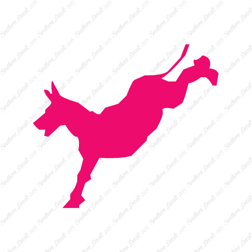 Mule Donkey