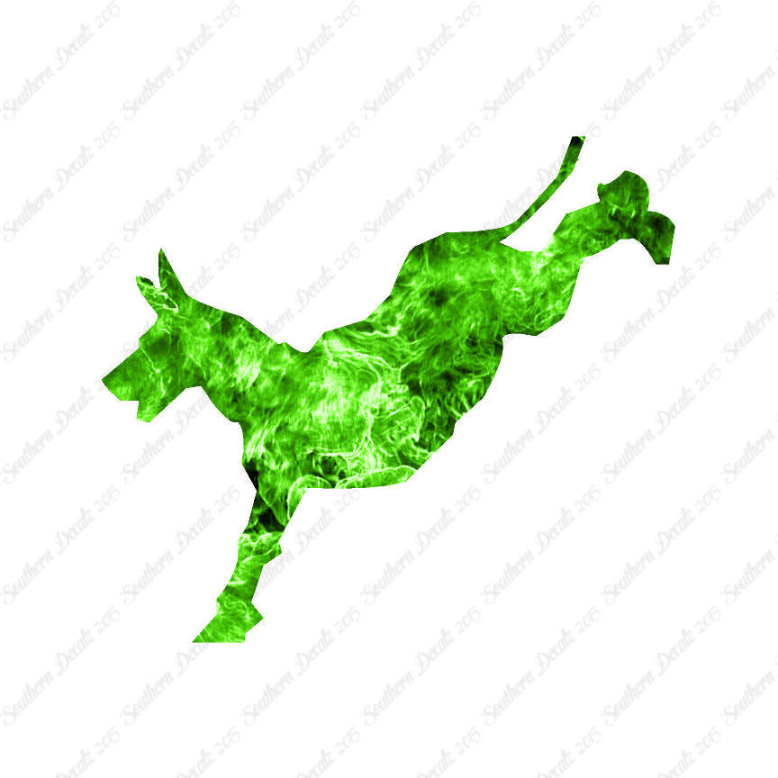 Mule Donkey