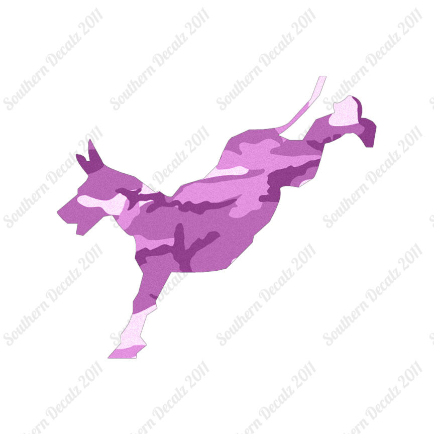 Mule Donkey