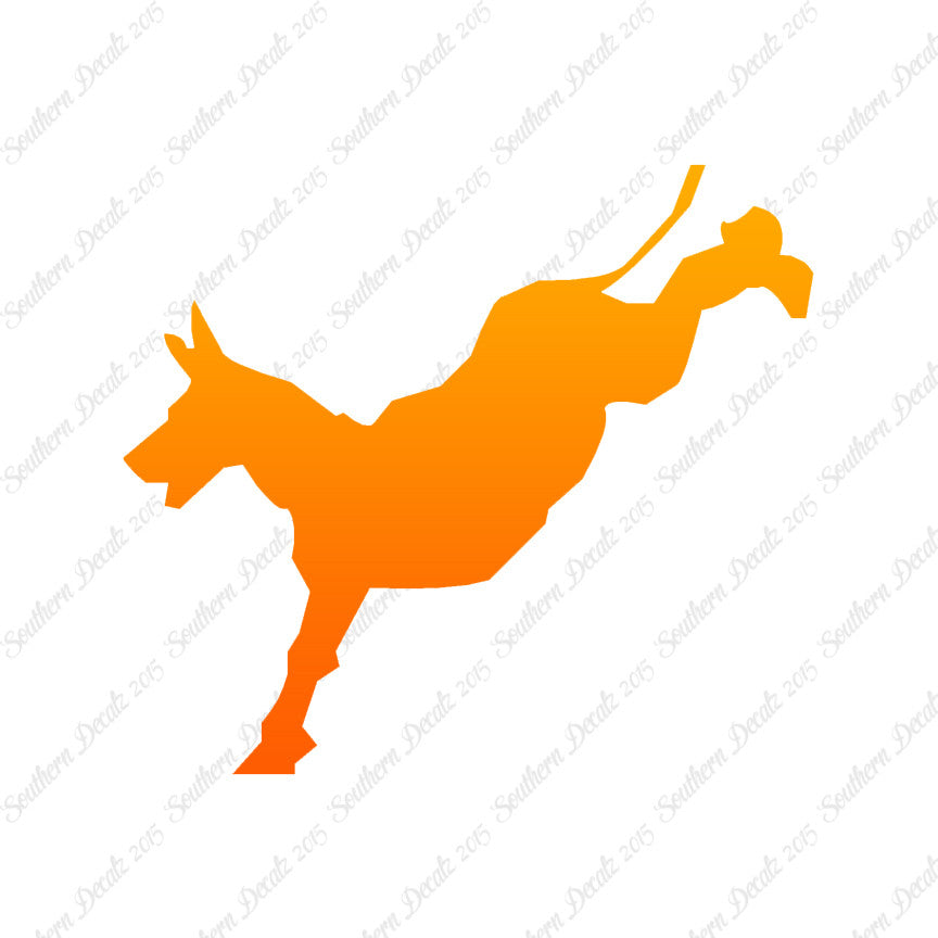 Mule Donkey