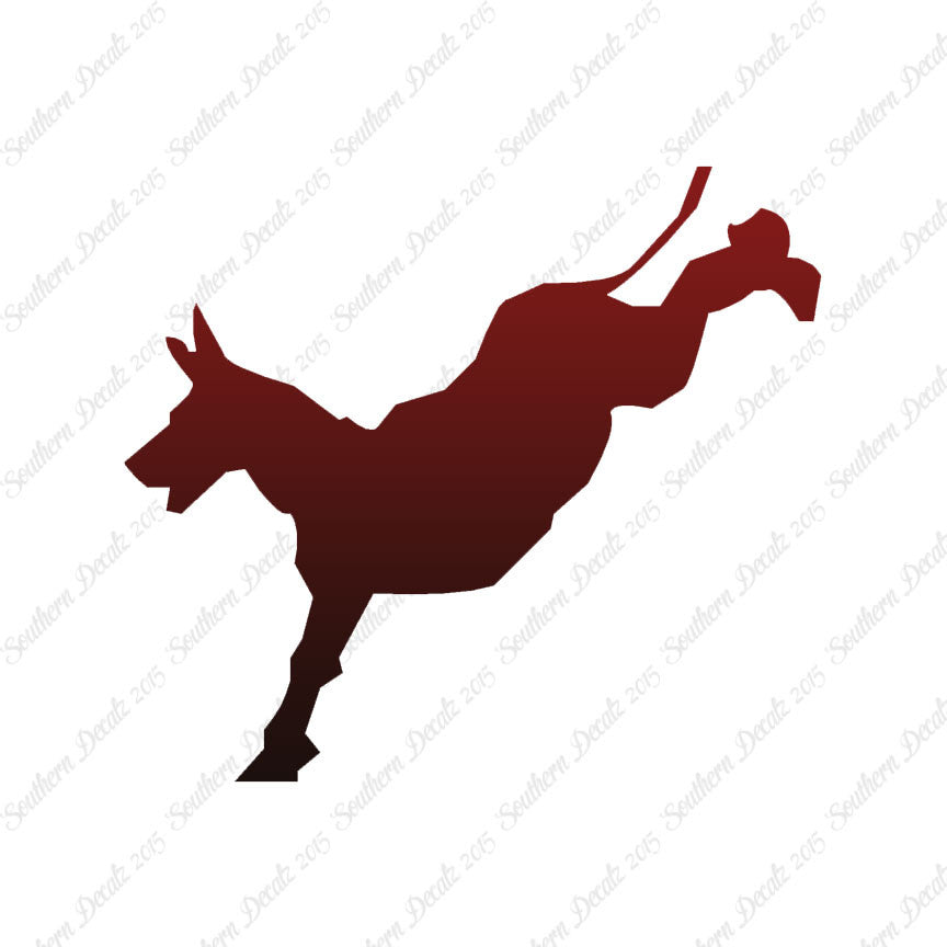 Mule Donkey