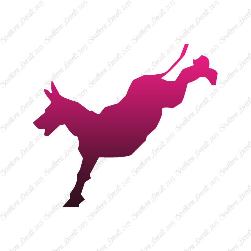 Mule Donkey