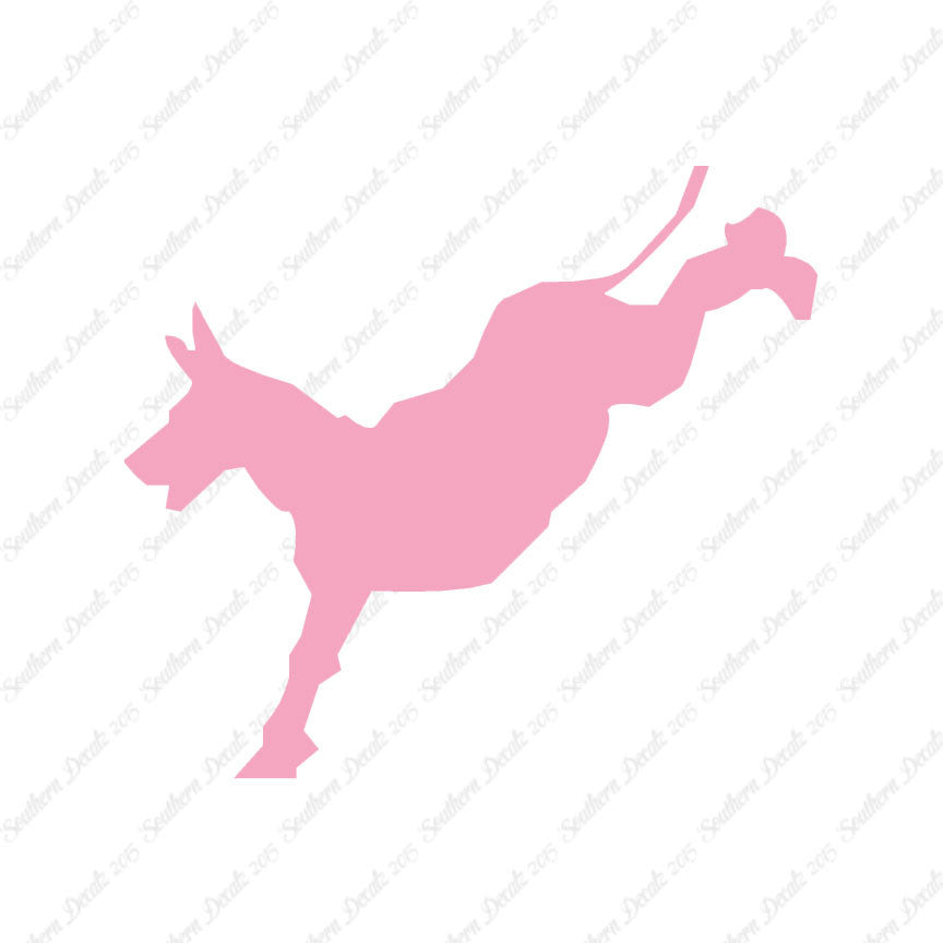 Mule Donkey