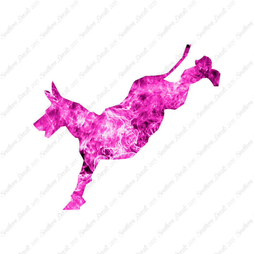 Mule Donkey