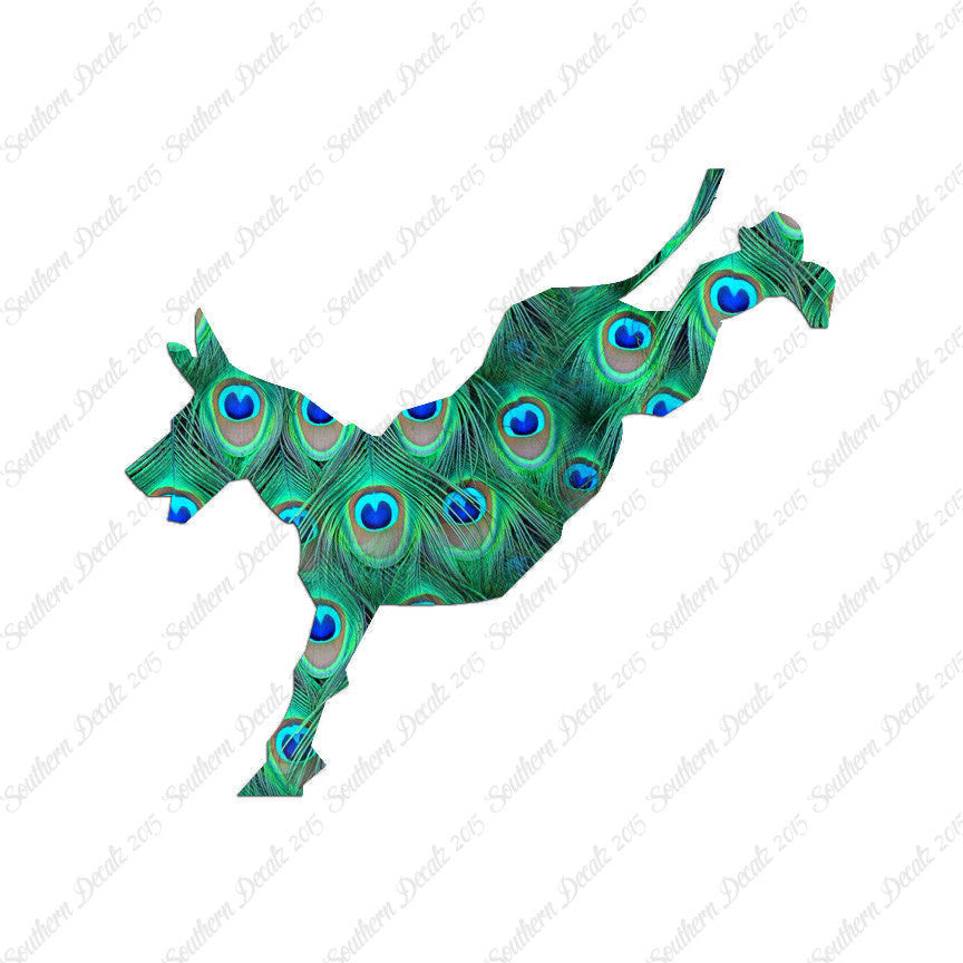 Mule Donkey
