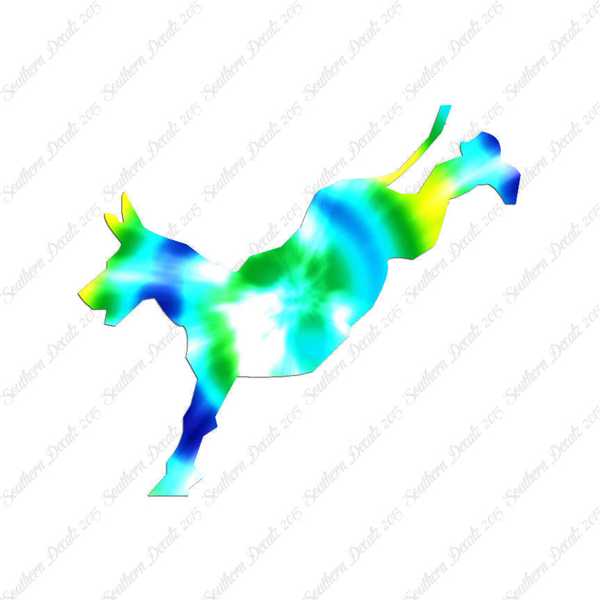 Mule Donkey