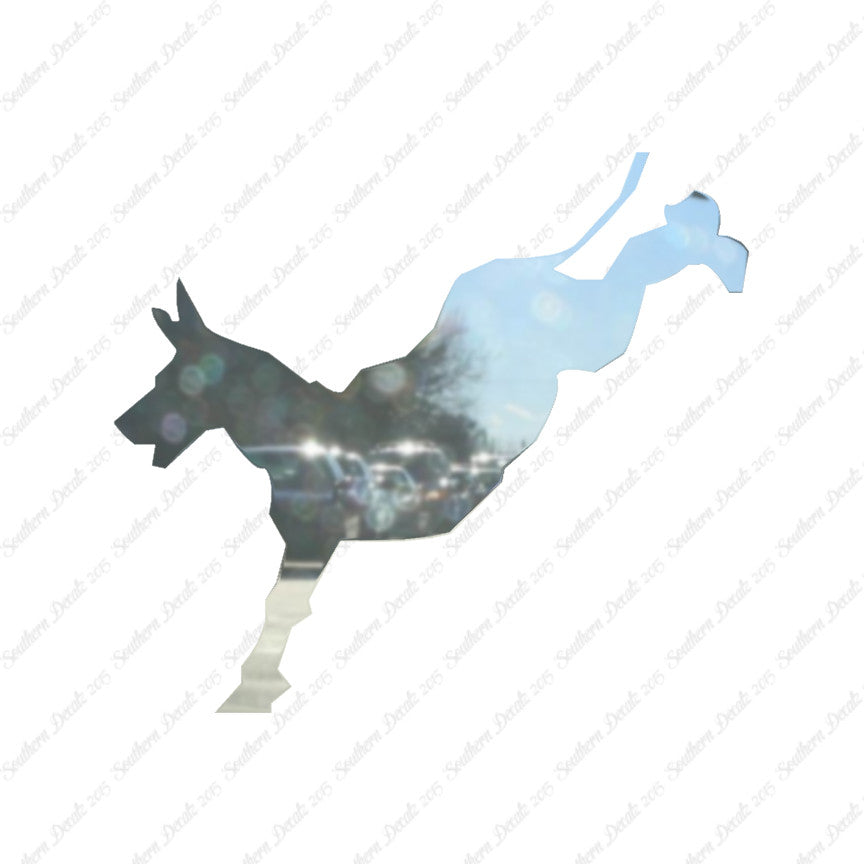Mule Donkey