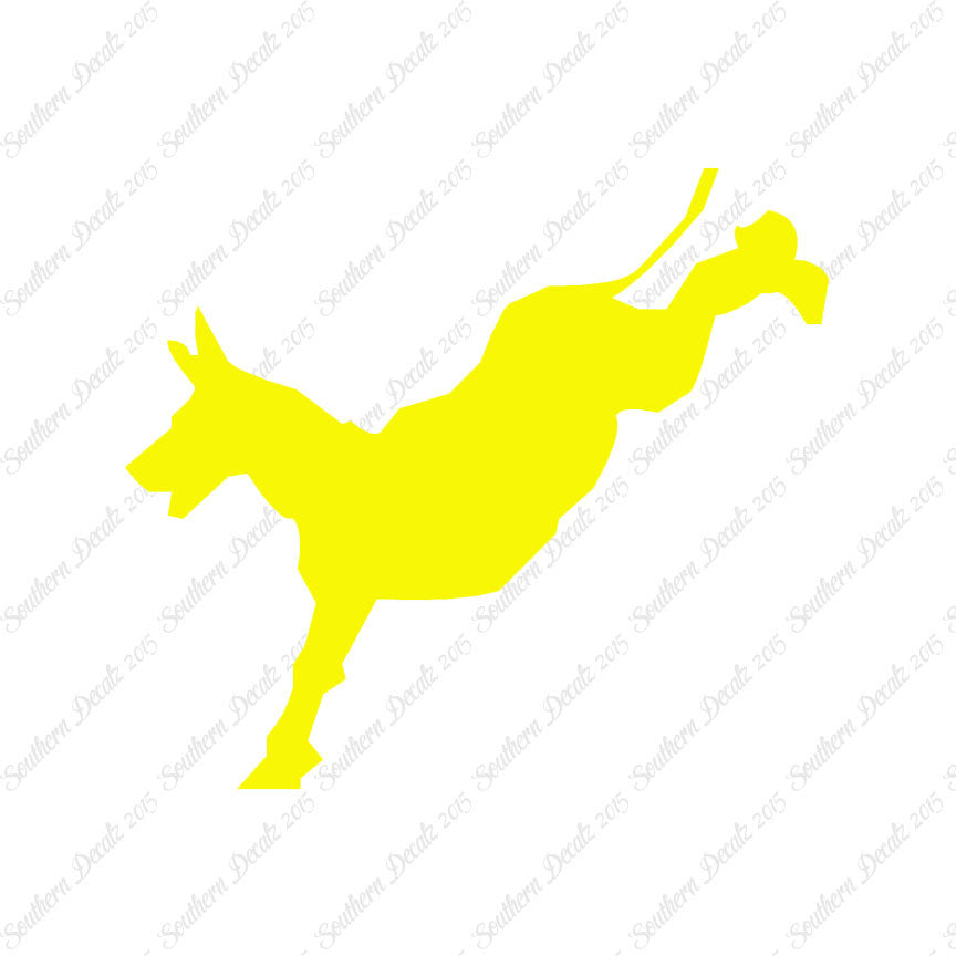 Mule Donkey