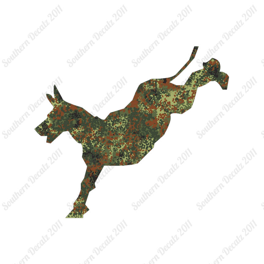 Mule Donkey