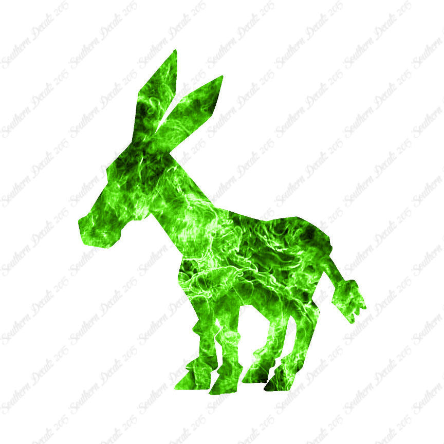 Donkey Mule Hinny