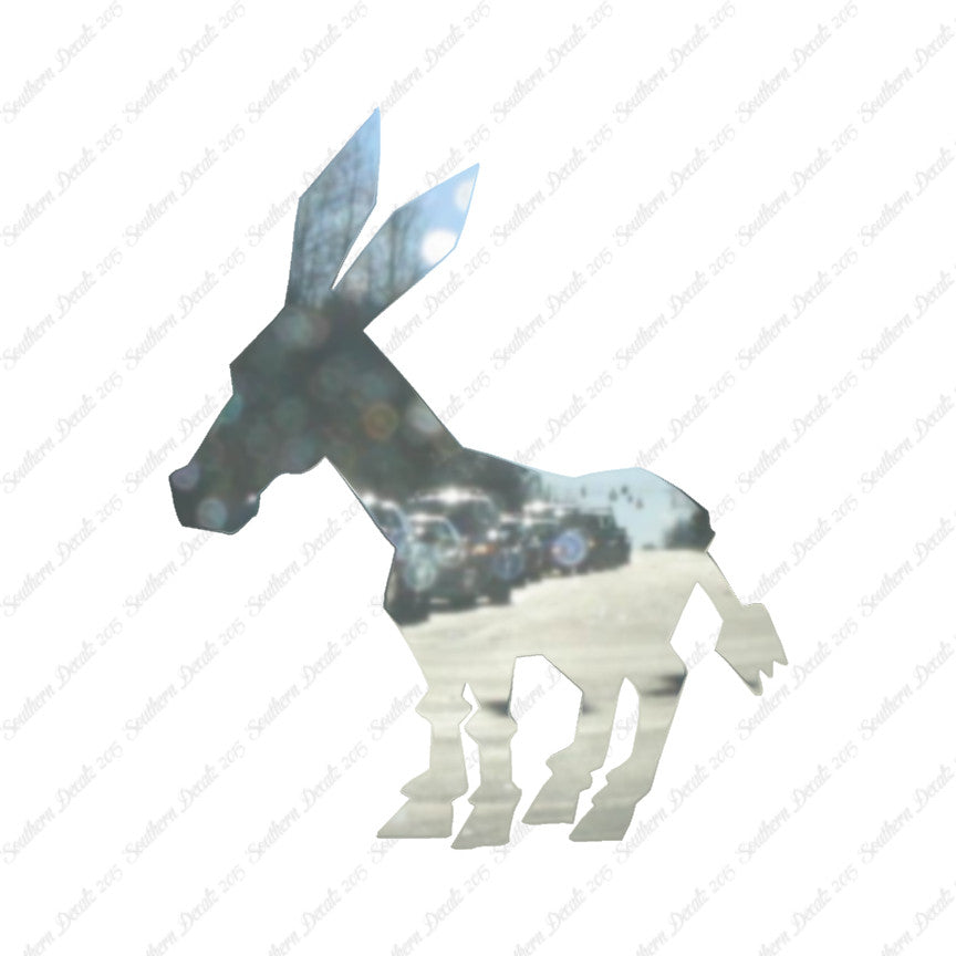 Donkey Mule Hinny